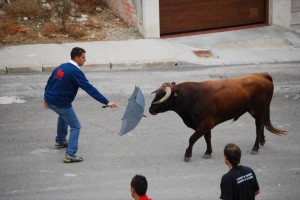 Fotos fiestas 2010